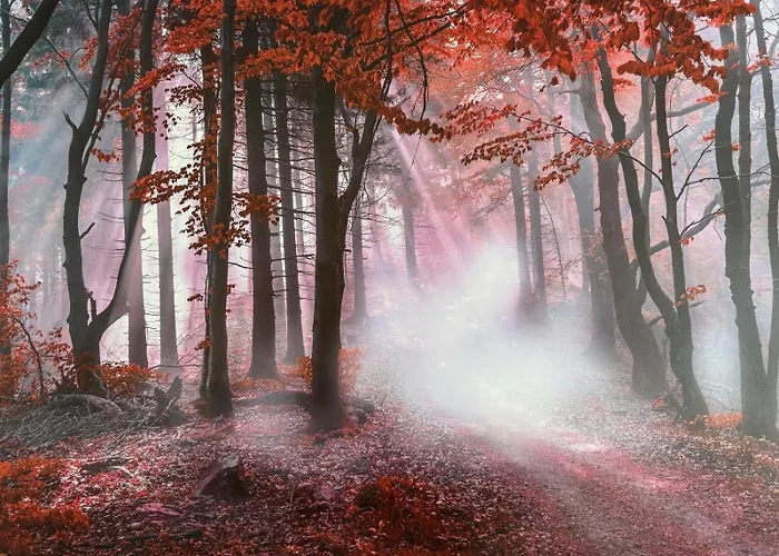 Manja Апартаменты