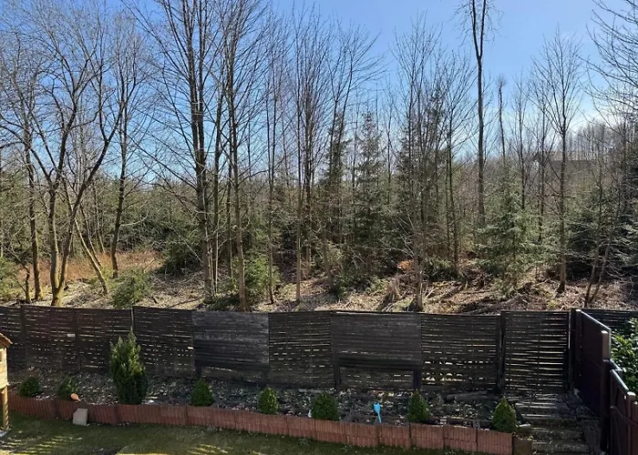 Manja Браунлаге